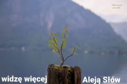 Z POPIOŁÓW ZŁUDZEŃ