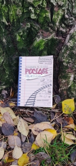 Pociągi i inne nieszczęścia - Anna Cichosz