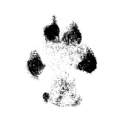 Kroniki Nome Togo - Bartosz Jaczewski