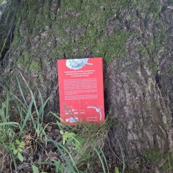 Dziewięć kołatek Troya