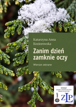 Zanim dzień zamknie oczy